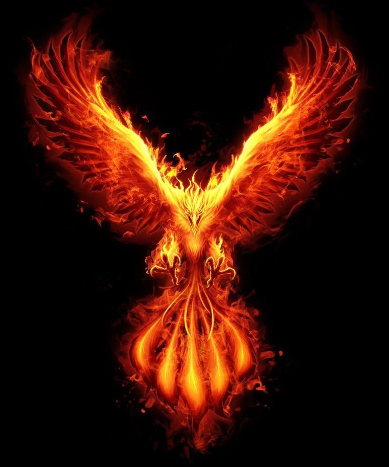 Phoenix Evolution